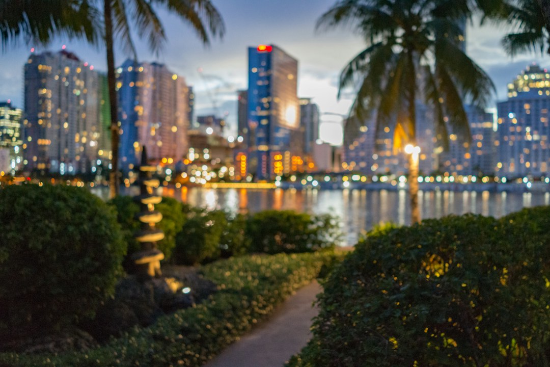 Miami skyline